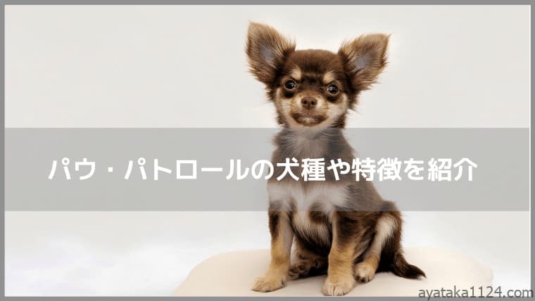 パウ パトロール キャラクターの名前とイラストを紹介 おうちで知育生活 パウ パトロール キャラクターの名前とイラストを紹介 おうちで知育生活